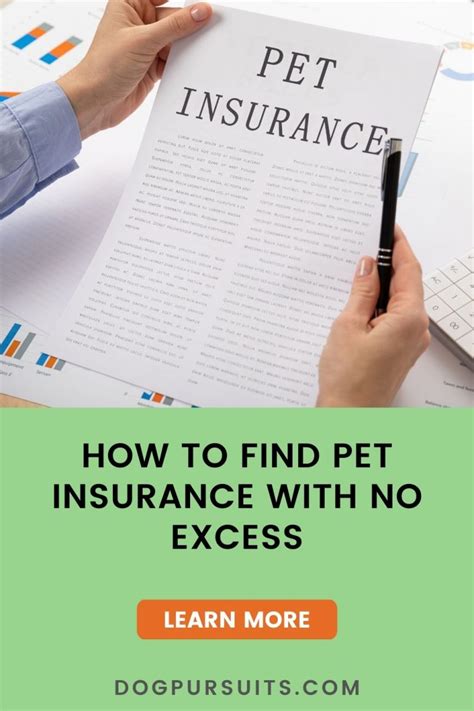 dog insurance with no excess.